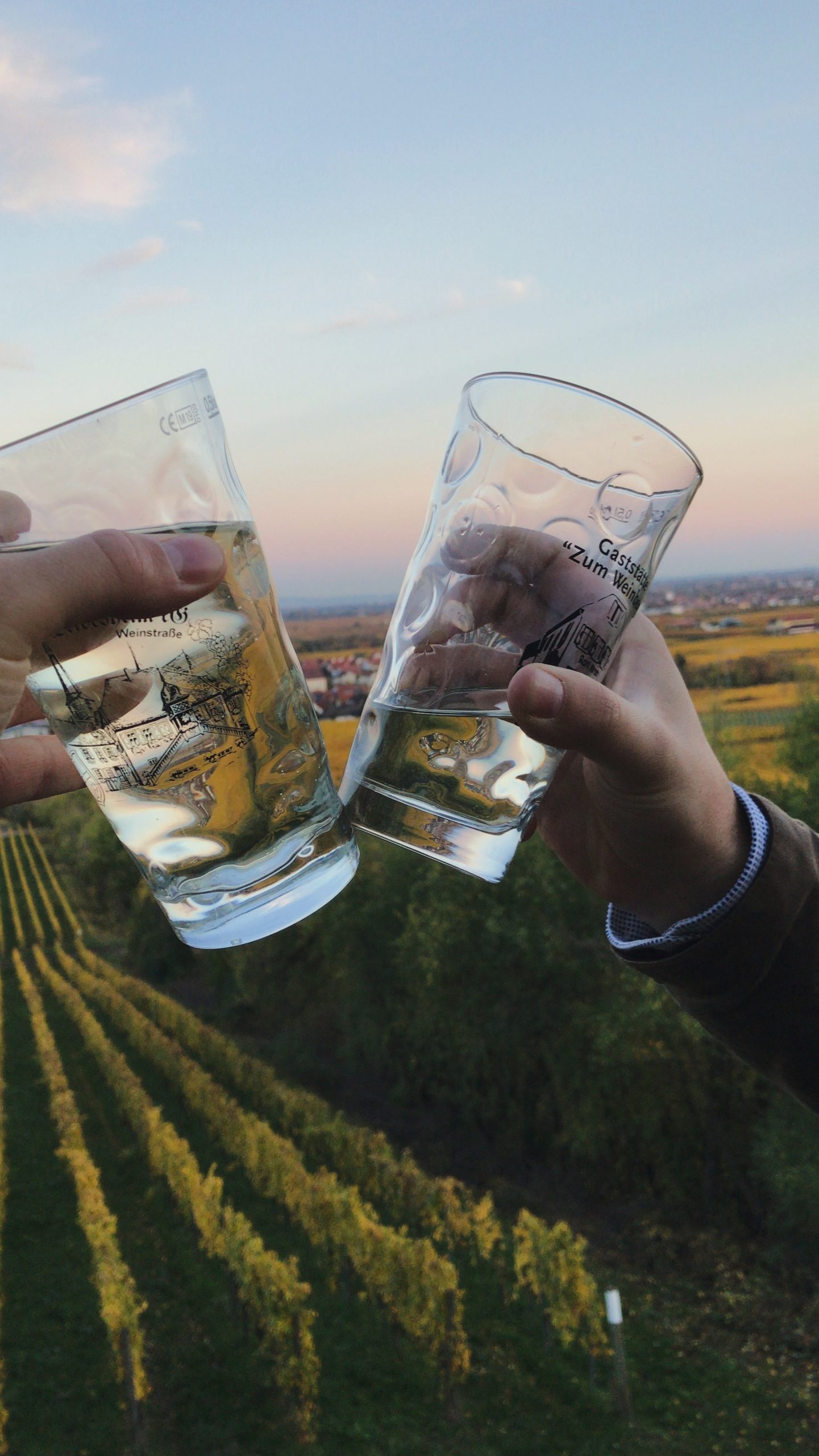 Die Pfalz zu meiner zweiten Heimat geworden. Es ist sehr wahrscheinlich, dass ich in Zukunft auch Weine in der Pfalz kreieren werde.